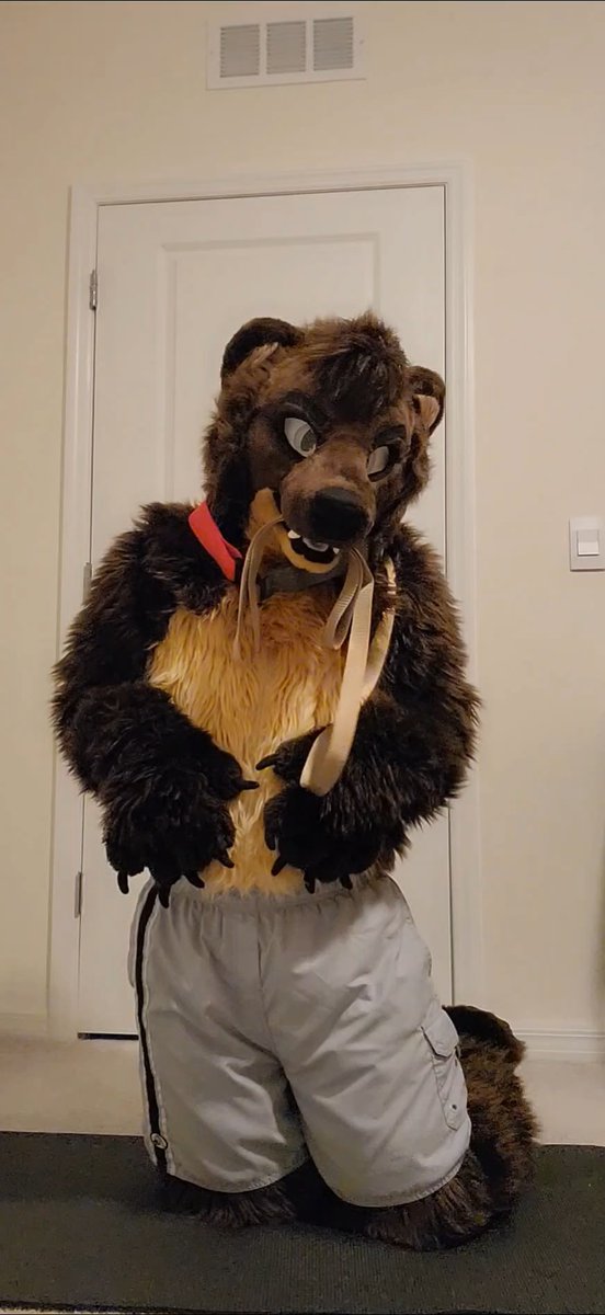 Drifter 🌲🐾 🔜 FWA, Megaplex tweet media