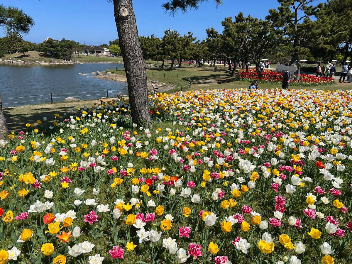 z__us's tweet photo. ありがとうゴールデンウィーク！
夏が来てしまいます🫠 https://t.co/lNM78GNUOD
