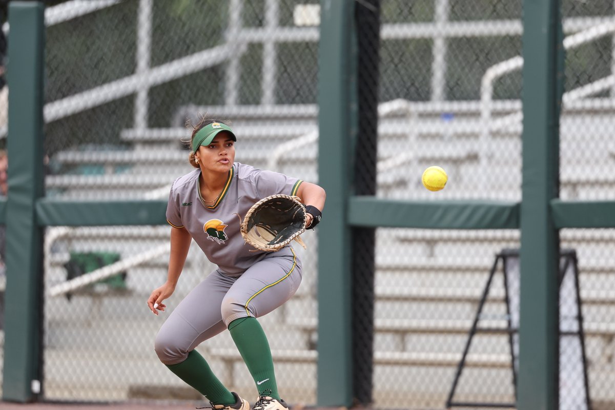nsusoftball's tweet photo. Keep fighting⚔️

B3 | NSU 0, MSU 1

#GoldStandard🔰 https://t.co/LGNGLFzSdt