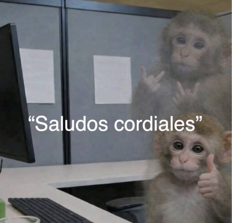 itextosoff's tweet photo. Cuando vas a enviar el correo con más odio del mundo y empiezas así. https://t.co/D5WE4XKx0a