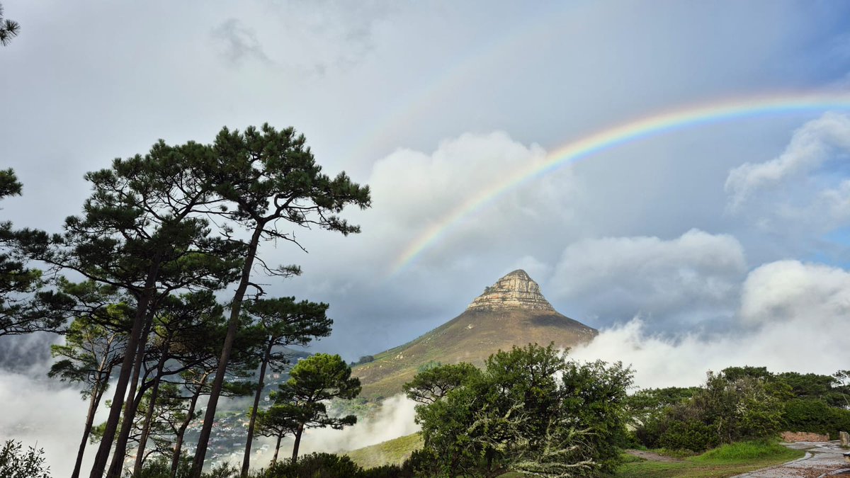 African Experience | Safari, Golf & Day Tours tweet media