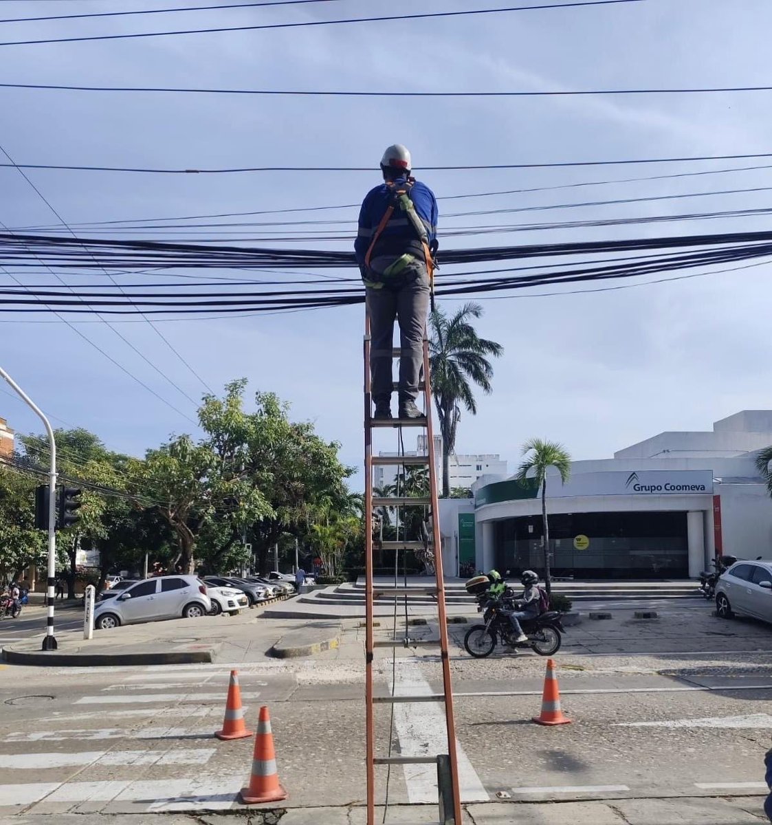Alcaldía de Barranquilla tweet media