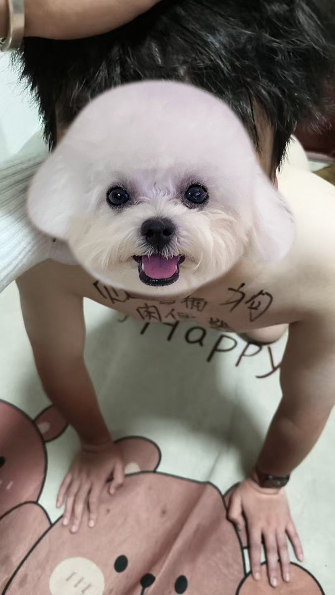 puppyjiaozi's tweet photo. 01今天去找墨离老师玩，当了一次小骚狗，尝试了以前没玩过的玩法～part1 https://t.co/jTA9pgnpin