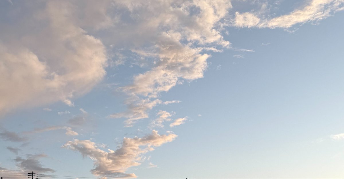 とこ tweet media