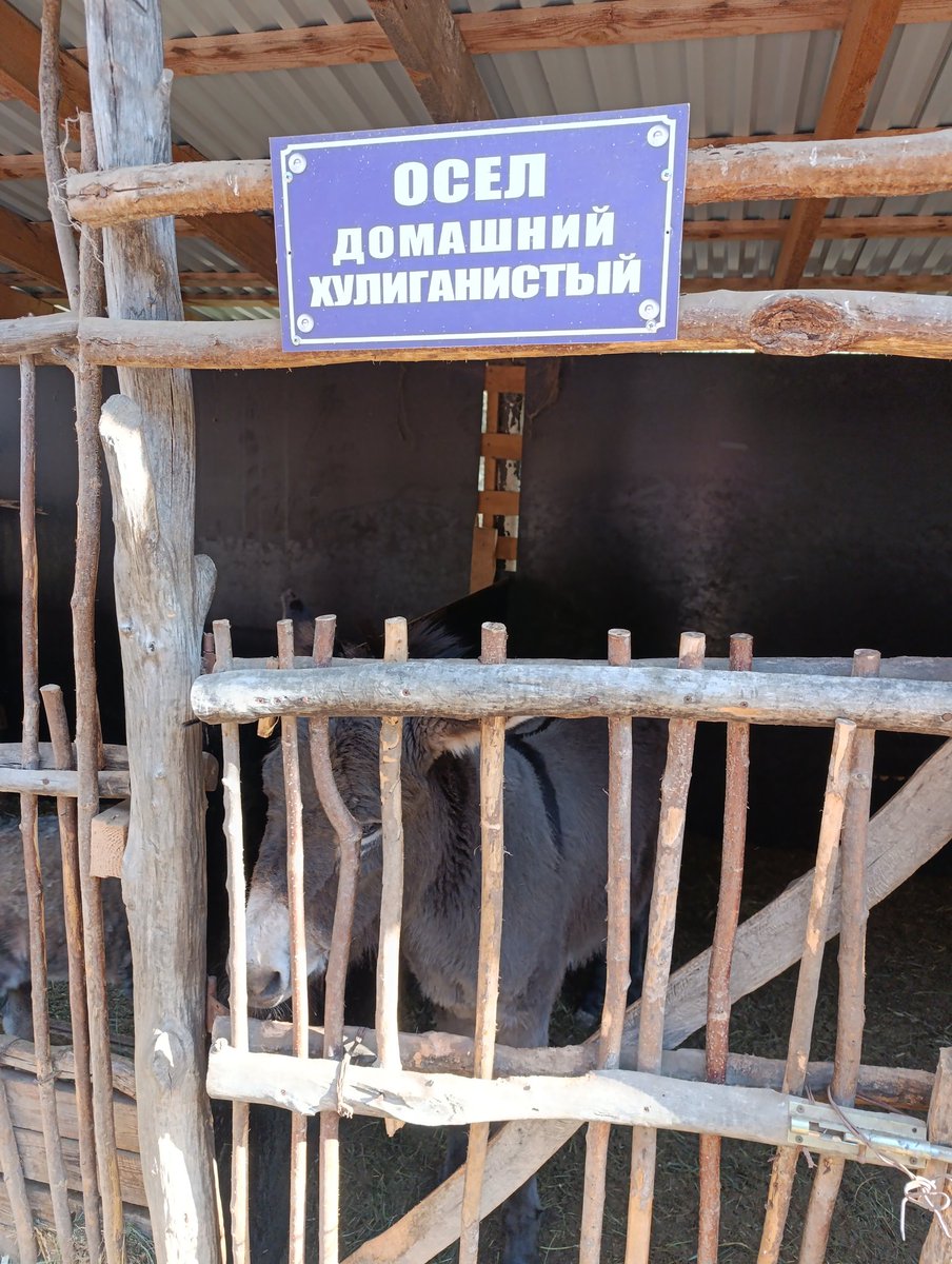 Хомячий Апостол 🐹🧁 tweet media