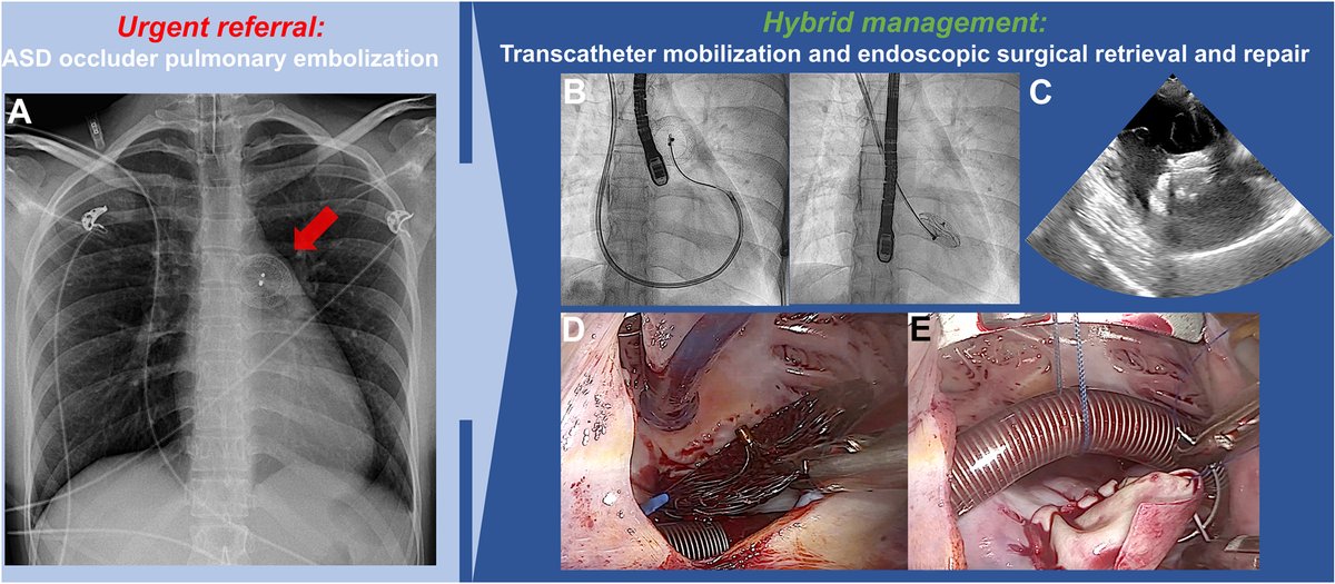 JACC Journals tweet media