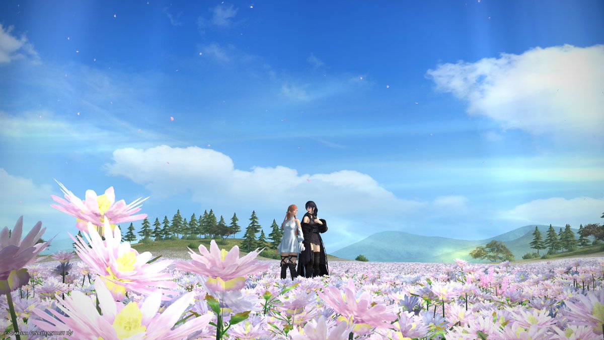 ゆず ず alexandre tweet media