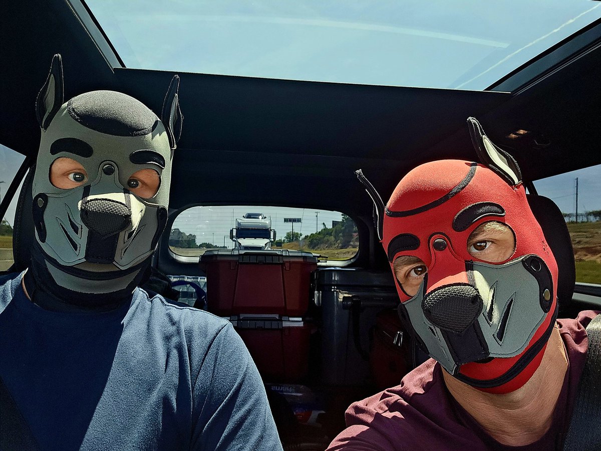 Knotty_Dogs's tweet photo. On the road to FWA! https://t.co/hdtL6aOnFs