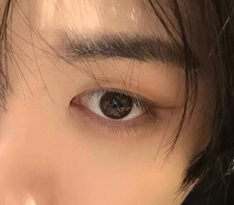 the eyeliner…….. my cat has the prettiest eyes ever….. 🫠
