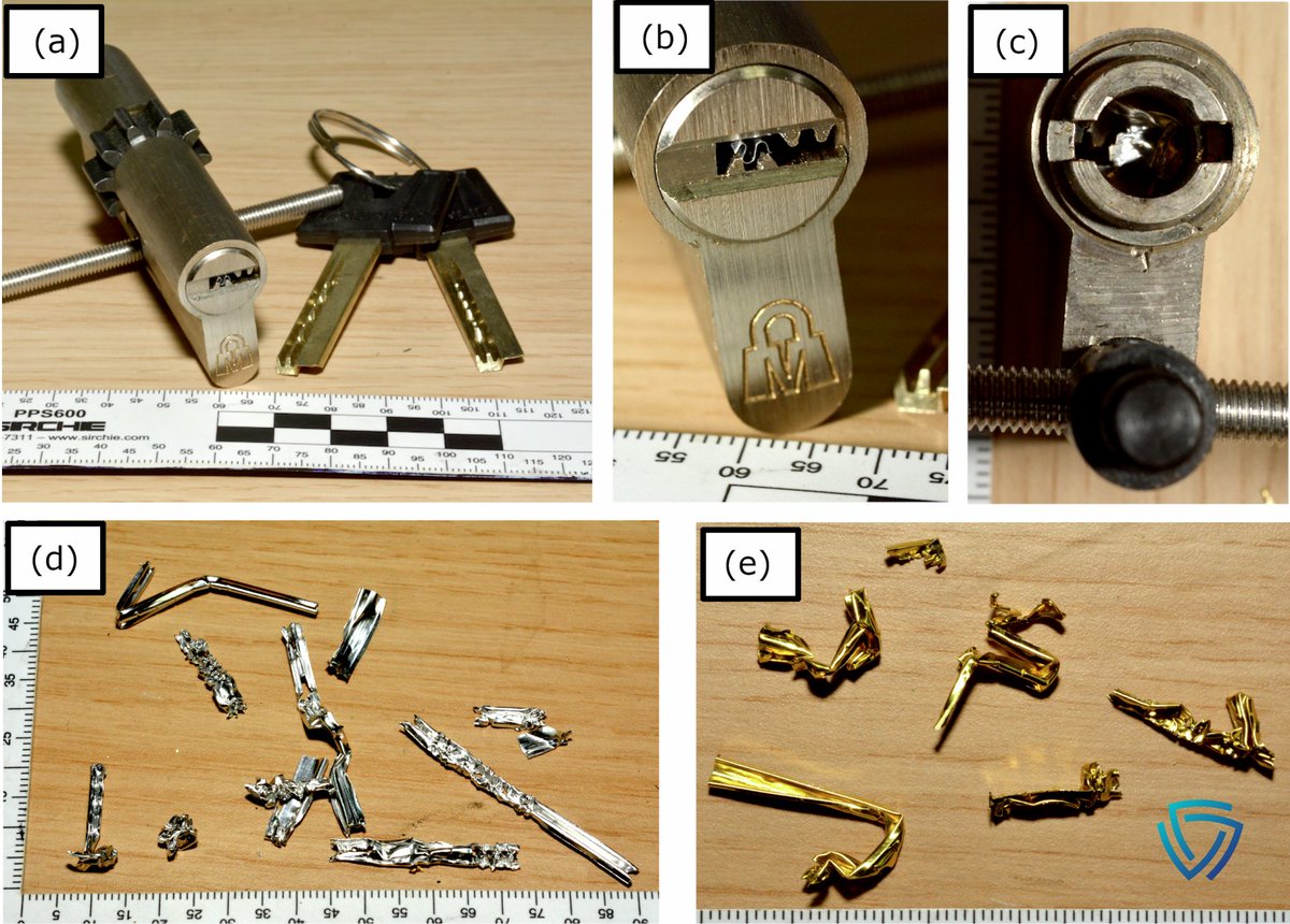 American Academy of Forensic Sciences tweet media