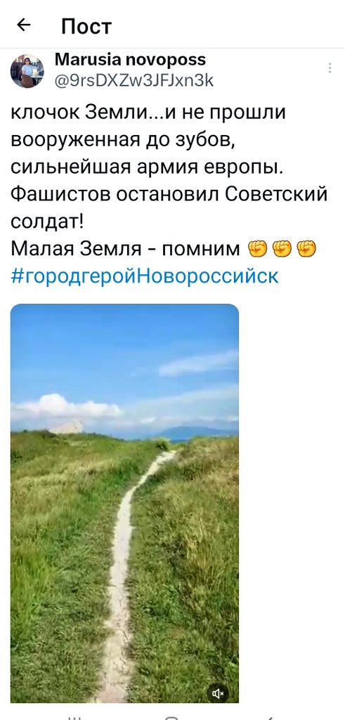 Marina Pogosova tweet media