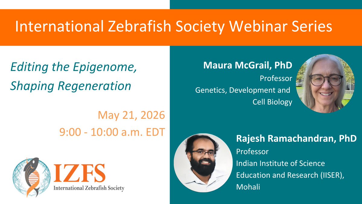 InfoIzfs's tweet photo. Register today for the IZFS Webinar: Editing the Epigenome, Shaping Regeneration. Join speakers Maura McGrail and Rajesh Ramachandran on May 21 at 9 am EDT. Learn more and register here: https://t.co/3kOAB90ZKA

#Zebrafish #Epigenome #Regeneration #Webinar #IZFS https://t.co/yJZoF23l4Q