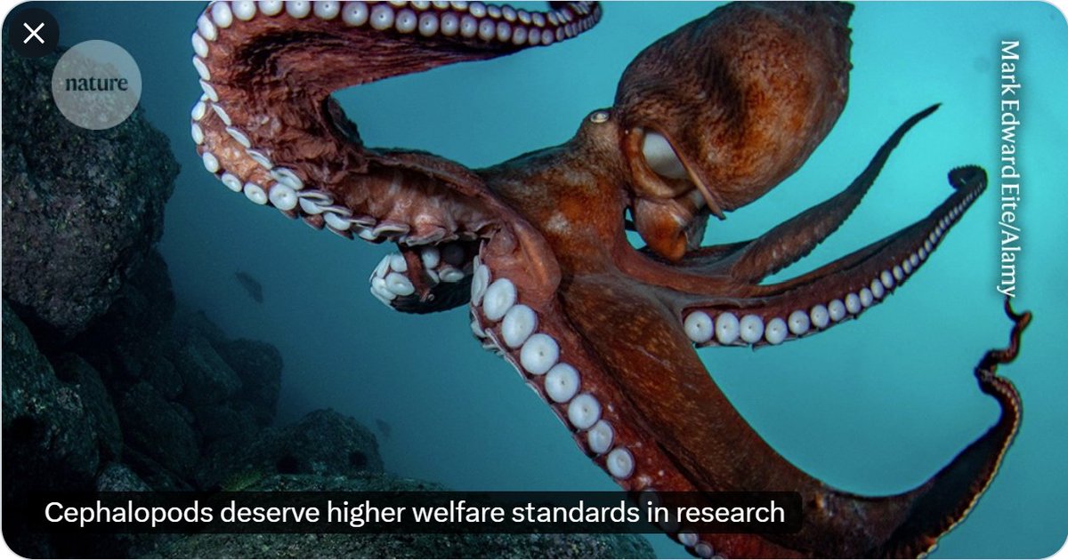 Science Advancement and Outreach tweet media