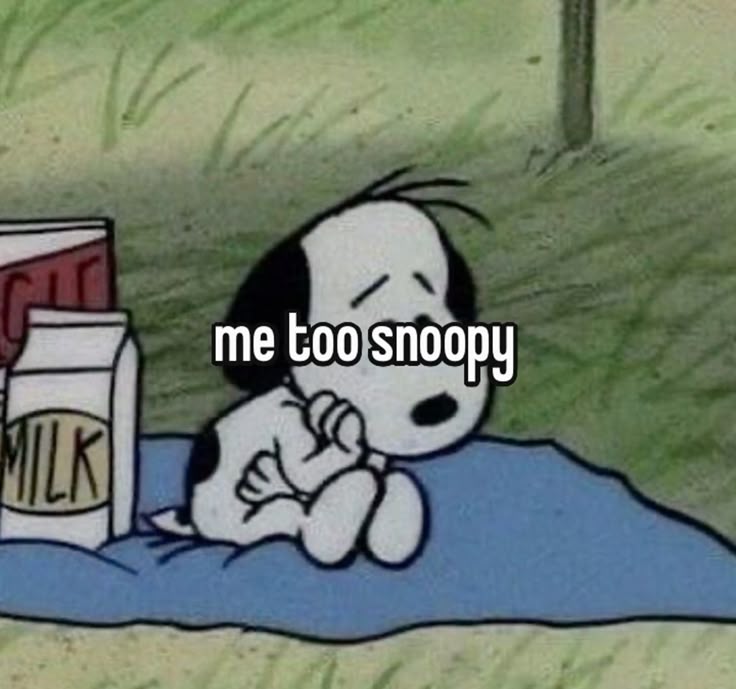 snoopy (@snoopyfans86057) on Twitter photo 