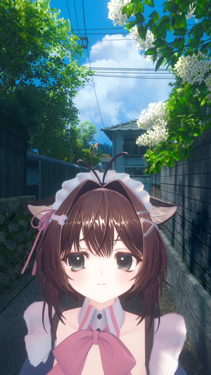 マイト tweet media