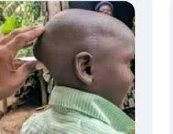 Incognito 🇺🇬 tweet media