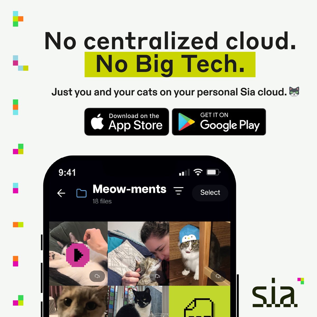 Sia Foundation tweet media