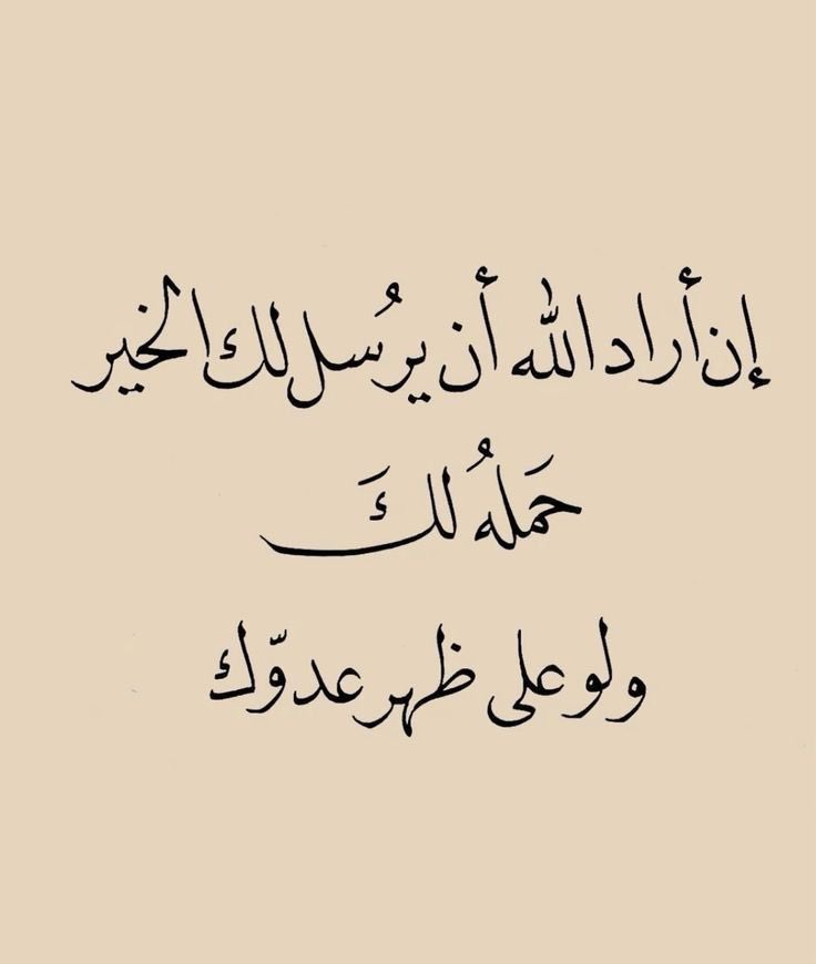 Klm_91's tweet photo. إرادة الله خير 🤍 https://t.co/Paa6Icxr4G