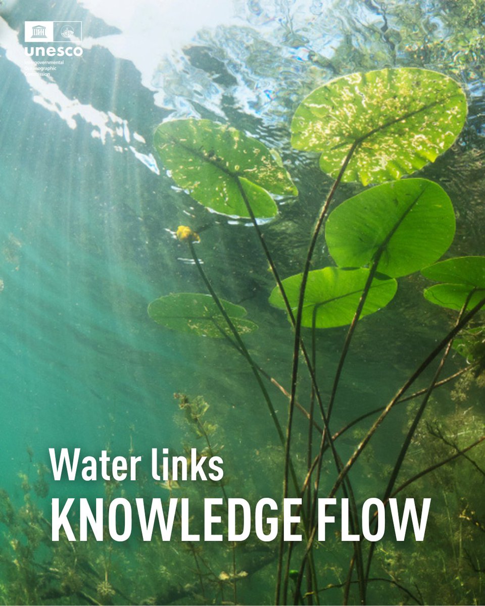 IocUnesco's tweet photo. 📢 The new IW:LEARN Newsletter is now online!
Discover the latest stories, from International Waters community.
Read the issue 🔗 https://t.co/Ms5A0SYytY
#OceanScience #OceanAction
📷Shutterstock - Rostislav Stefanek https://t.co/DT55DR6st3