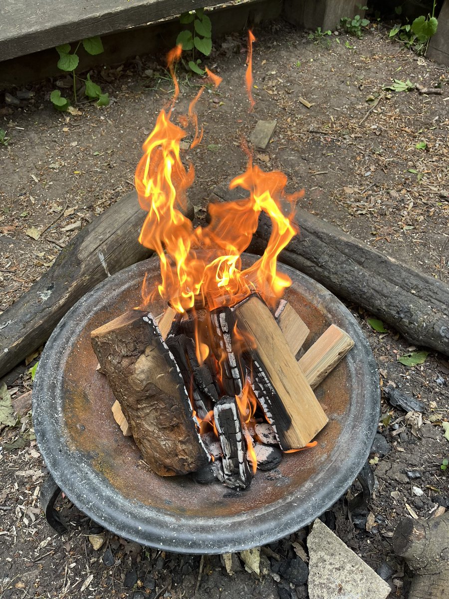 LEO Forest School tweet media