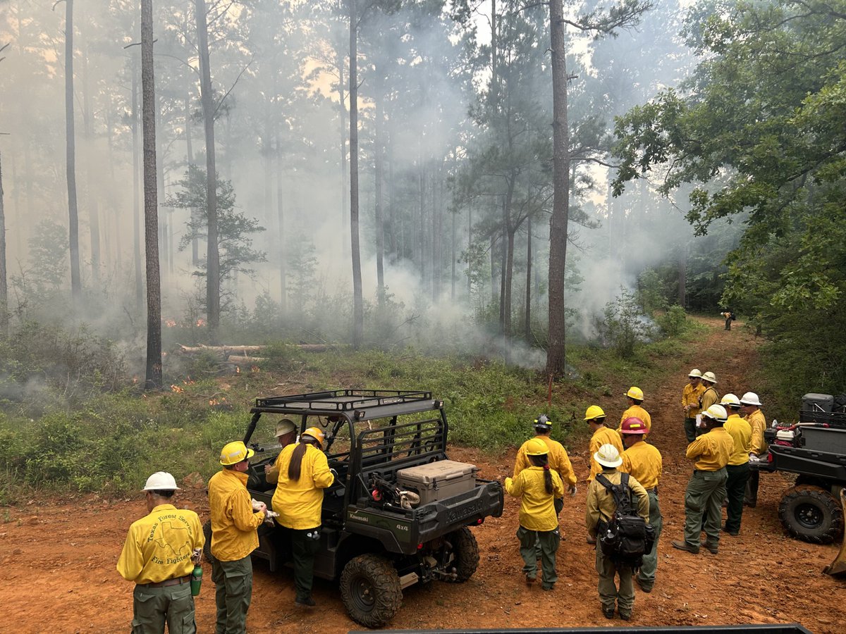 Texas A&M Forest Service tweet media