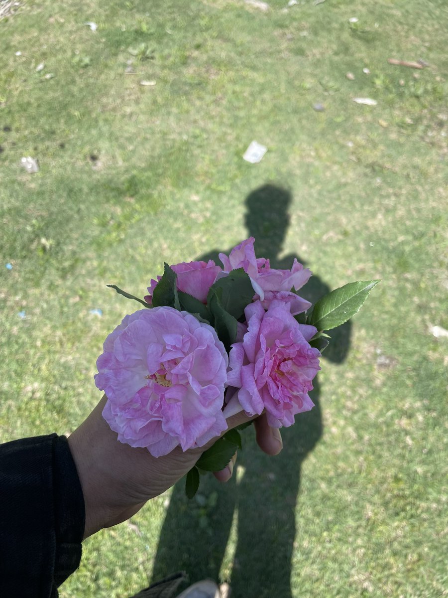عمر کشمیری 🍁 tweet media