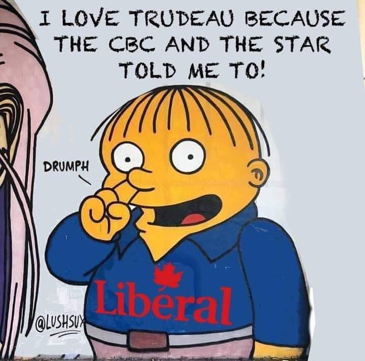 memusk3's tweet photo. @kinsellawarren thats why she got appointed always get someone dumber than you carney sure knows how to pickem ! he must have learned that one from trudy https://t.co/j2nqFdfSVR