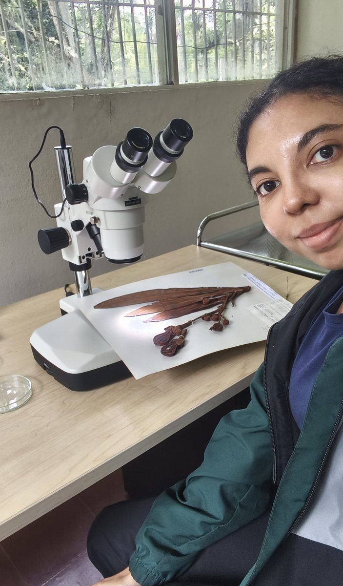 Jessica Budke PhD 🥼🌱🔬 tweet media