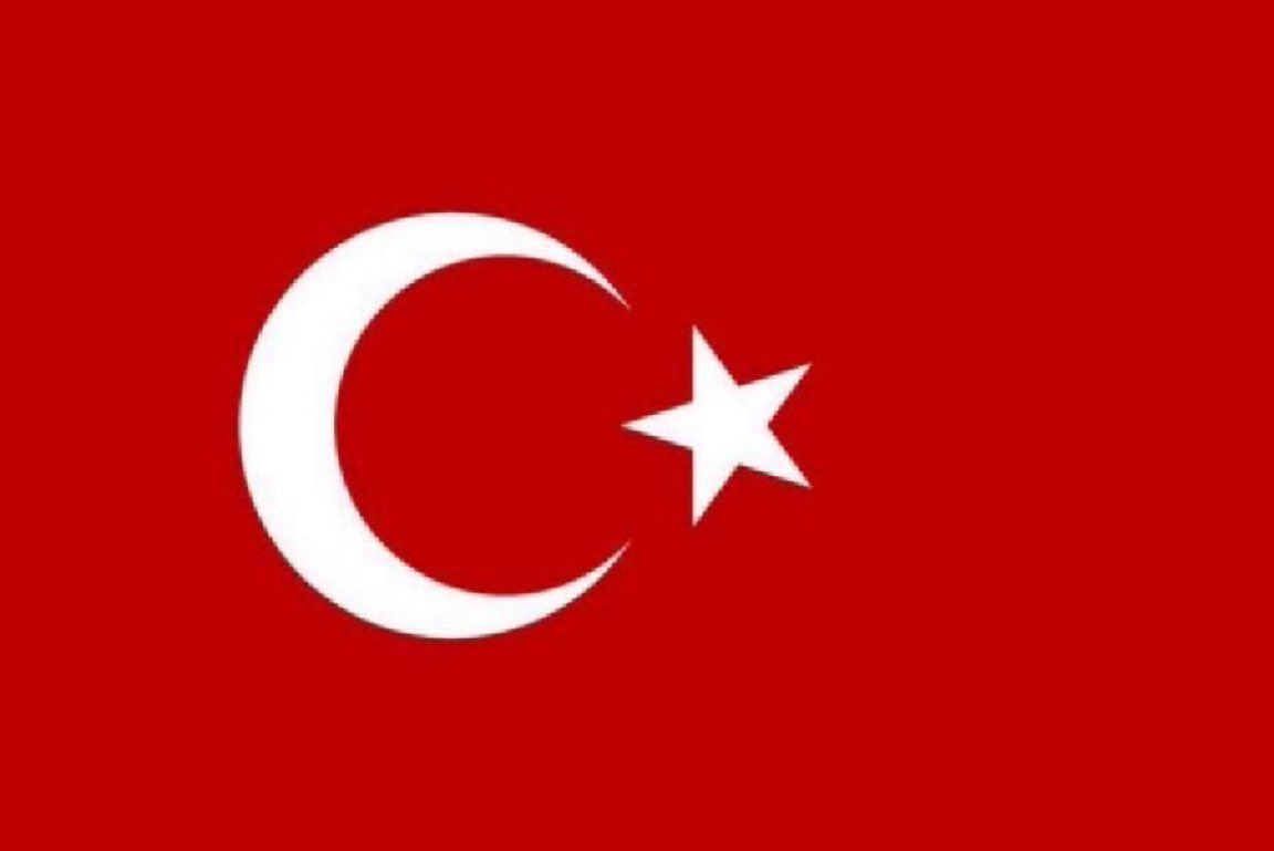 Gökçe Katun tweet media