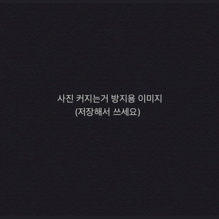 CD시디은비 tweet media