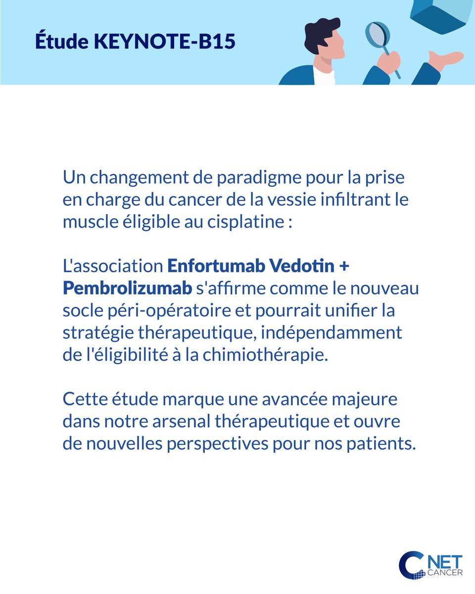 NetCancerFrance's tweet photo. 🎗️ Mai : Mois de sensibilisation au cancer de la vessie

Quelques rappels épidémiologiques et zoom sur l'étude KEYNOTE-B15 https://t.co/WmvsTFepnW