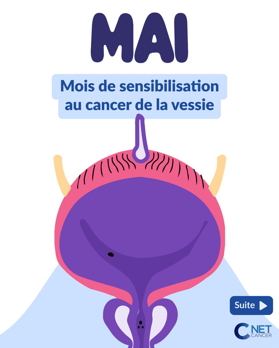 NetCancerFrance's tweet photo. 🎗️ Mai : Mois de sensibilisation au cancer de la vessie

Quelques rappels épidémiologiques et zoom sur l'étude KEYNOTE-B15 https://t.co/WmvsTFepnW