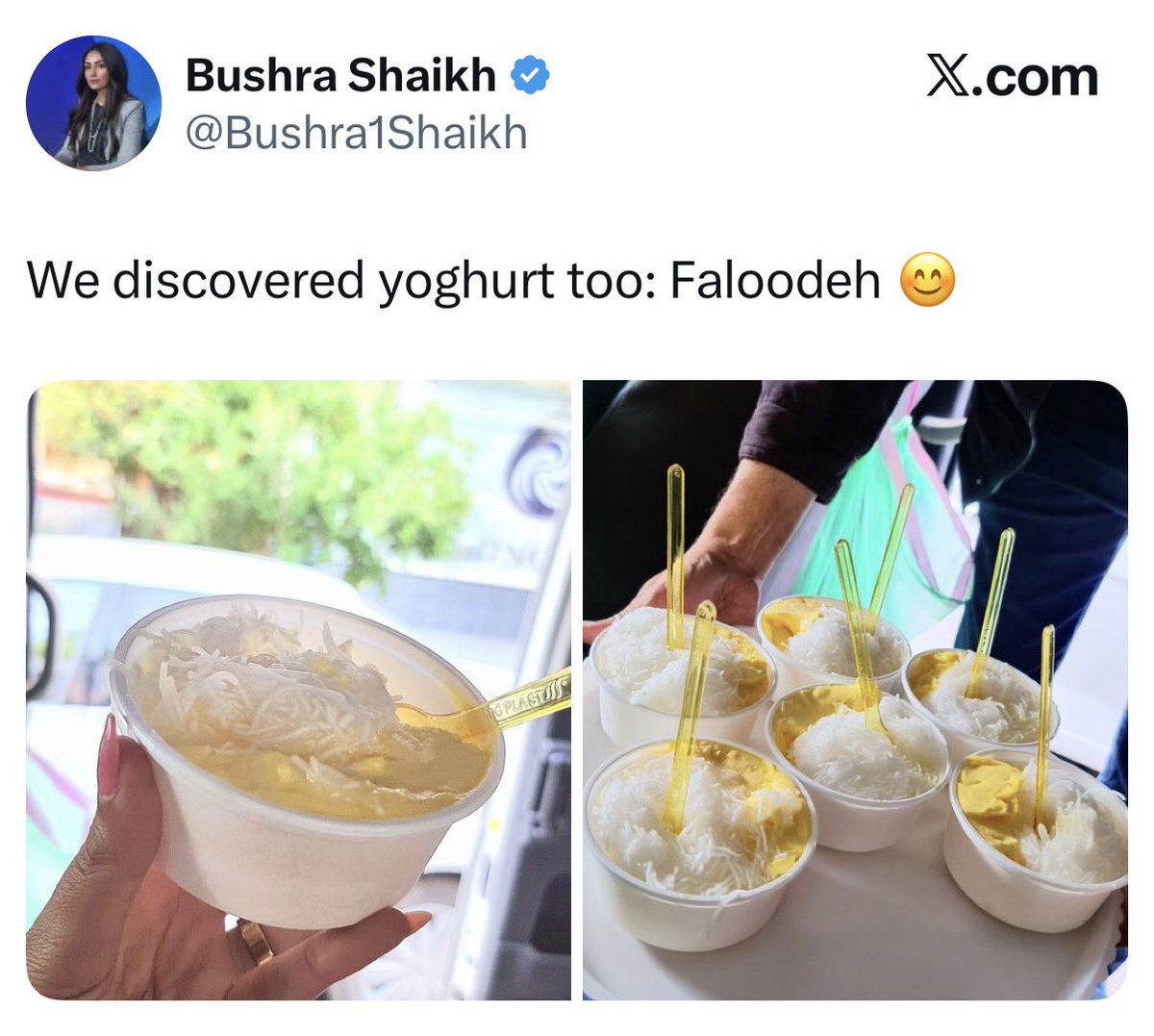 Faloodeh isn't yogurt you stupid bitch.