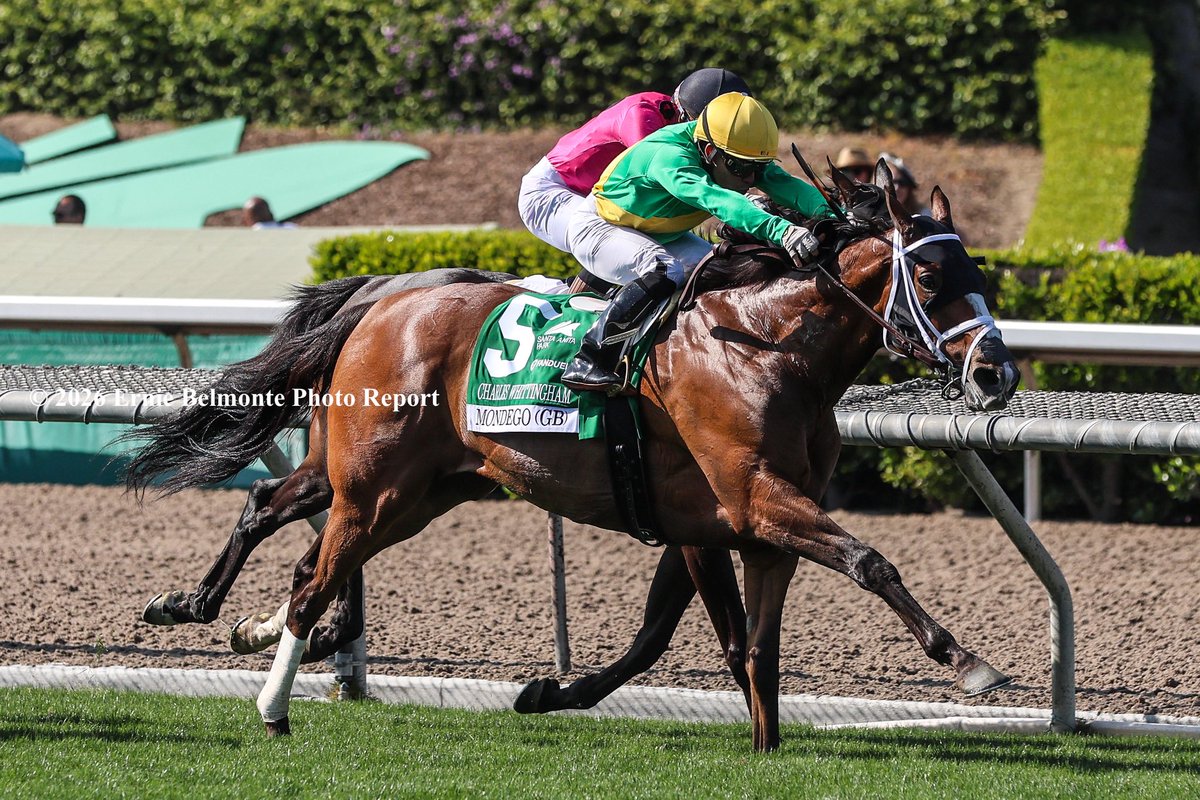 Ernie_Belmonte's tweet photo. May 6, 2026: ARCADIA, CA.- Mondego wins the G2 $200,000 Charles Whittingham presented by FanDuel TV on May 2nd at Santa Anita Park under jockey Emisael Jaramillo for trainer Michael McCarthy. https://t.co/mMtx7Xlmdq