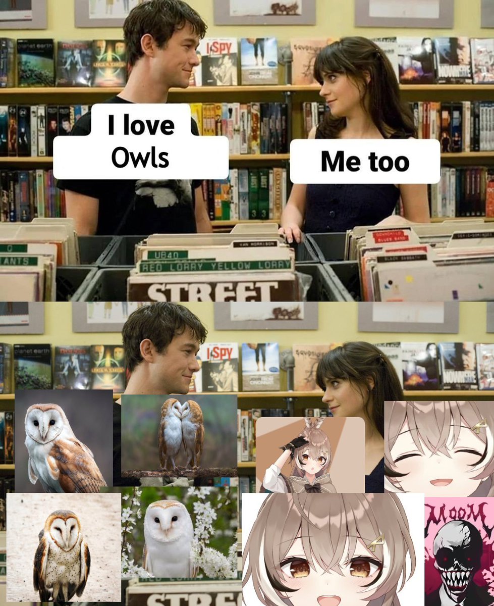 •ᚲᛚᛟᚹᚾ• AkuMei🪶 tweet media