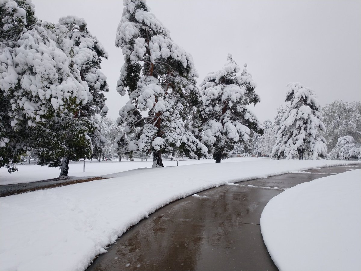 JenniferCHicks's tweet photo. About 7-8 inches in my Arvada neighborhood. The roads are clear, but I saw several branches down. Shake your trees! #cowx https://t.co/0E44MU4jjx