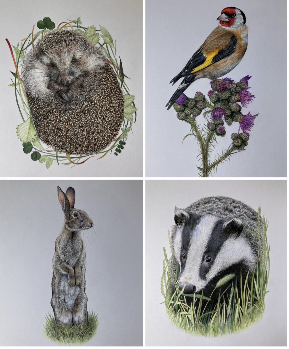 Lisa Wellwood Artist tweet media