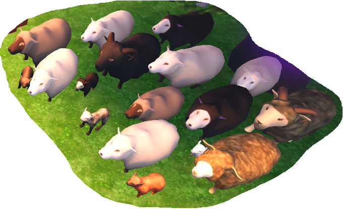 DDumbcan's tweet photo. good morning #sheeptwt https://t.co/MCdUDqNonc
