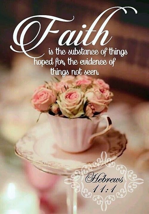 Cindy DeM 🌷💕🌷 tweet media