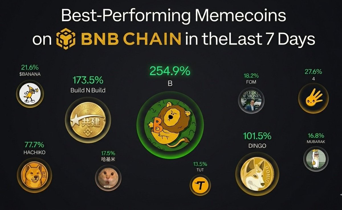 Talal_BNB's tweet photo. Top #BNB Chain memecoins this week:

​#BANANA
#BuildNBuild 
$B
$FOM
#4
$HACHIKO
$​哈基米
$TUT
$DINGO
$MUBARAK https://t.co/Ujv88x1pDh