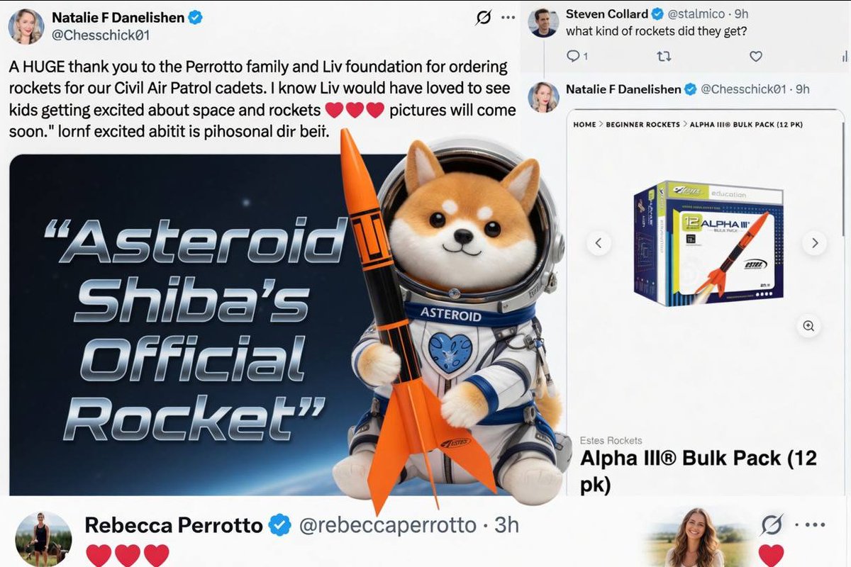 Asteroid Shiba Rocket $ALPHA3 tweet media