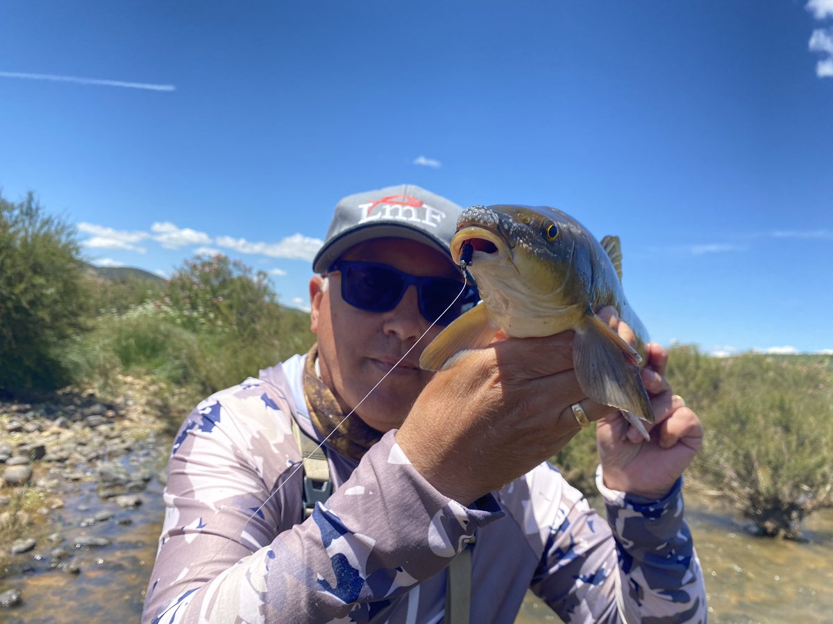 LancesCanalSur's tweet photo. Esta mañana nos hemos ido a Castilla-La Mancha en busca de barbos toda vez que en Andalucía está vedad la pesca de este ciprínido, una sinrazón que no viene al caso ahora. La pesca ha estado muy complicada porque los peces estaban poco activos y el agua muy turbia. https://t.co/i8tLu7slLP