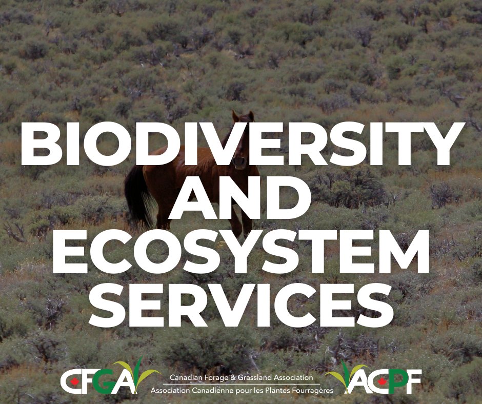CFGA_ACPF tweet media