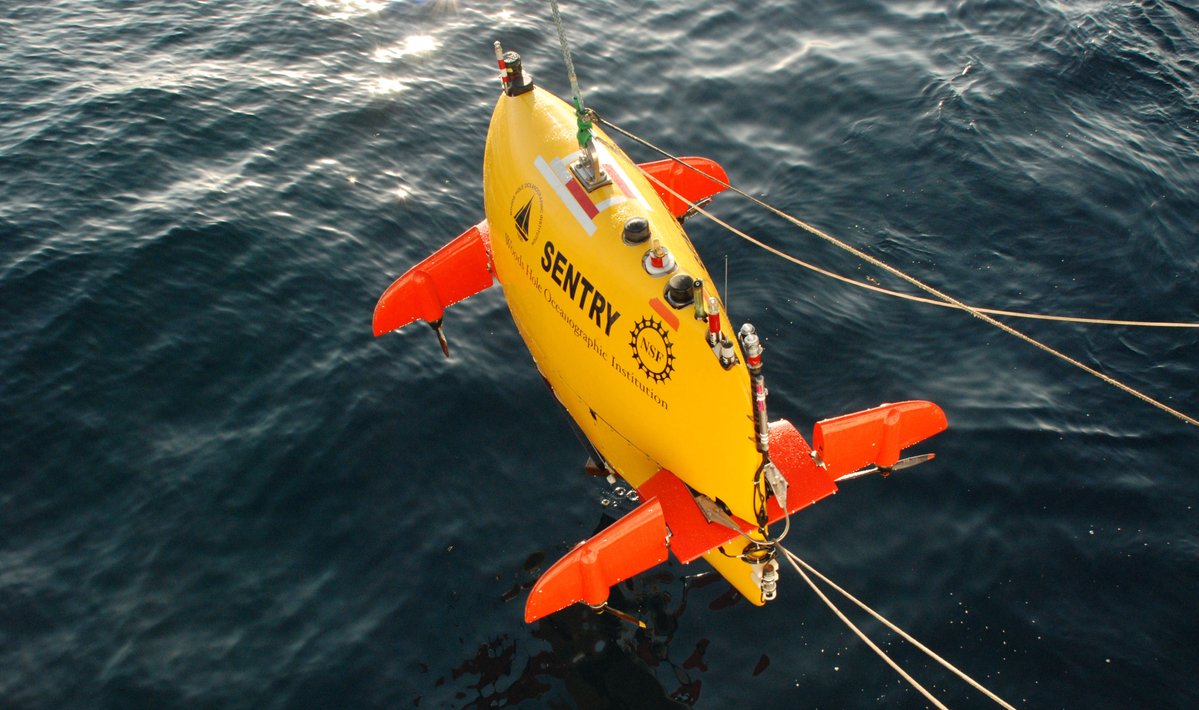 NOAA Ocean Exploration tweet media