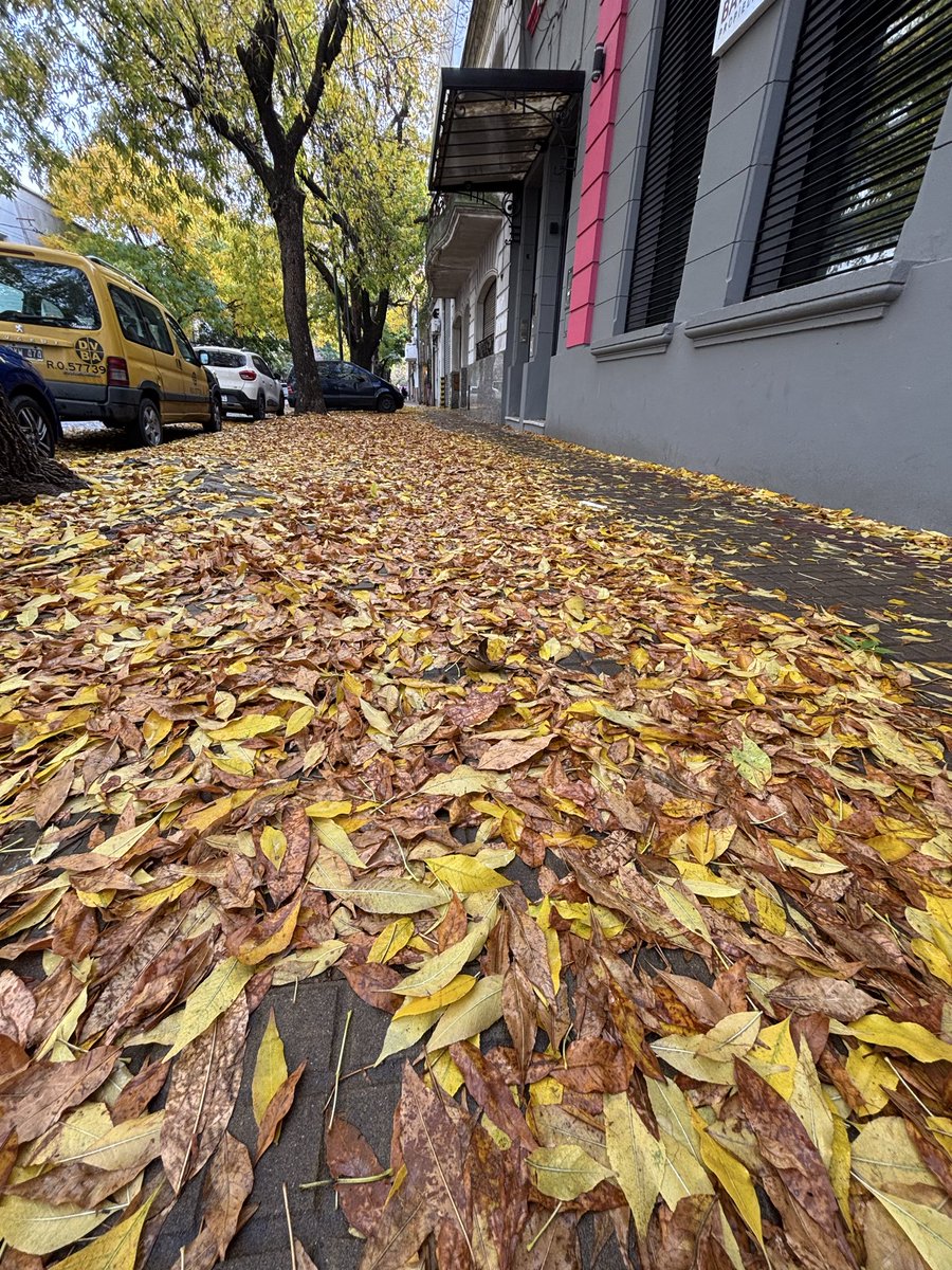 Lo lindo que fotografía el otoño