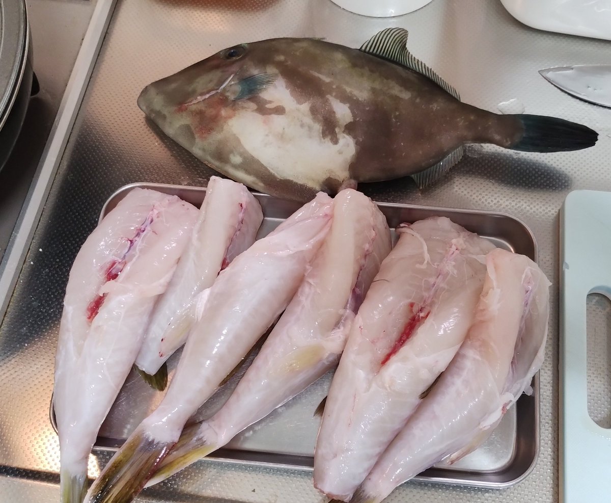pon1987's tweet photo. GWは、フグを釣りに行ったので、ふぐ料理が多かったです。外道のウマズラハギはキモパンだったので肝醤油で。

唐揚げ、カルパッチョ、刺身
 #おうちごはん https://t.co/tElbDqgJ53