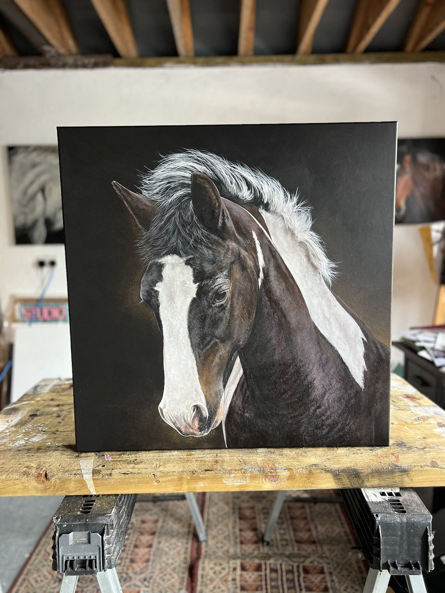 Tonys_Ponies's tweet photo. 70cm x 70cm acrylic on linen commission piece. Reference photo as supplied by client .. I had my work cut out for me with this one .. but I’m pretty pleased with the result so far .. 👌🏻😮‍💨 https://t.co/L1l23aeePp