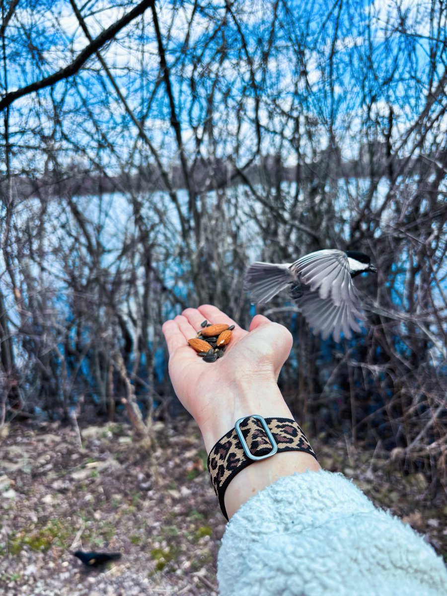 Lucie Laflamme 🌿 tweet media
