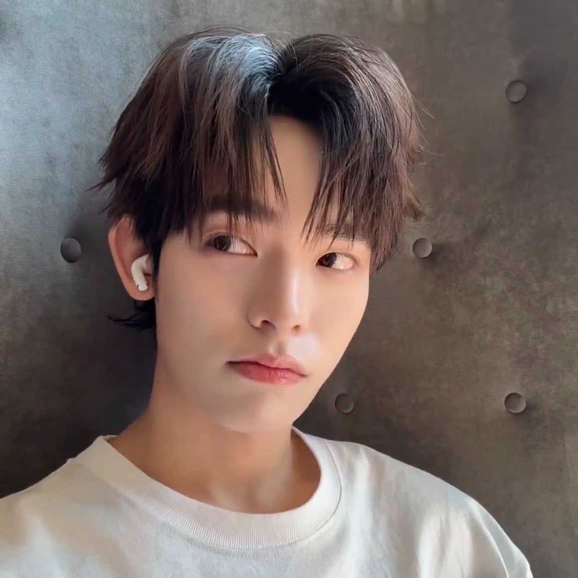 lilacxpip's tweet photo. 🥺🫳🏻♥️ https://t.co/E0dbiHlSH4