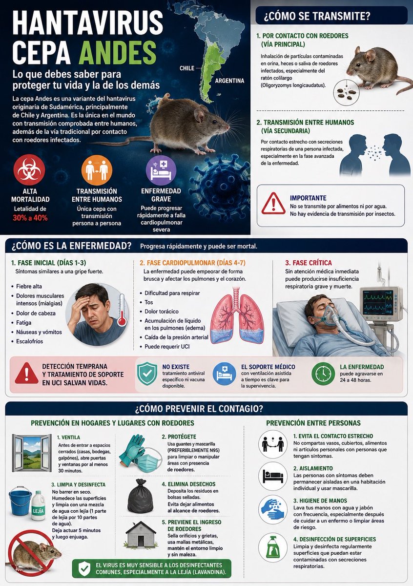 AlertaMundoNews's tweet image. 🚨 HANTAVIRUS CEPA ANDES: LO QUE DEBES SABER 🚨

La cepa Andes es una variante del hantavirus originaria de Sudamérica, detectada principalmente en Chile y Argentina. Su reservorio natural es el roedor silvestre conocido como “ratón colilargo” (Oligoryzomys longicaudatus), que